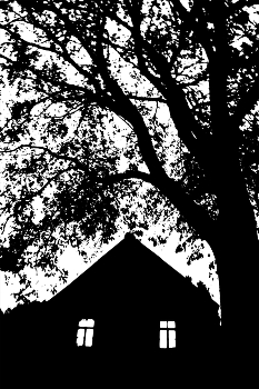 Life around / ***