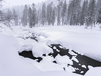Snow / ***