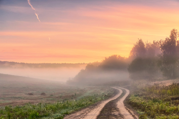 Autumn Morning / ***