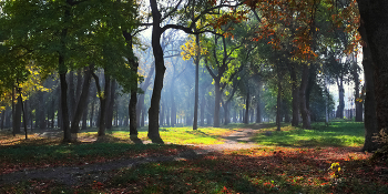 in the park / ***