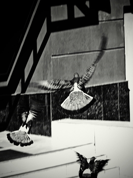 fear ... / ***