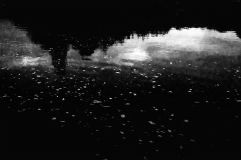 Life around / ***