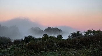 Morning fog. / ***