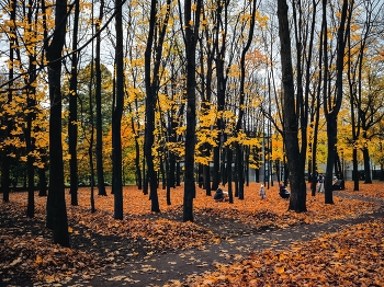 In autumn park / ***