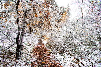 Fall and Winter / ***