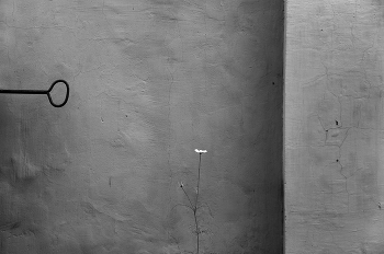 the wall. / ***