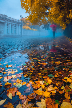 Autumn / ***