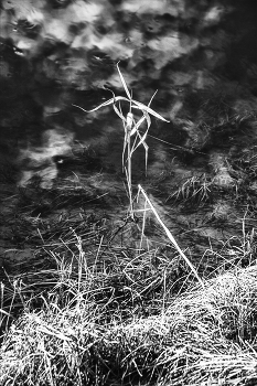 Life around / ***
