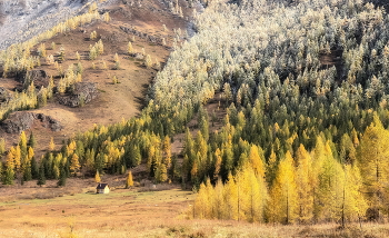 The first frost / ***