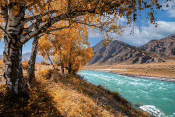 Altai Mountains / ***