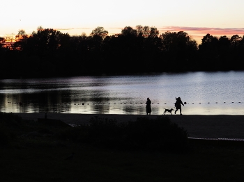 Evening on the lake / ***