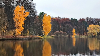 Autumn in the city / ***