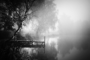 Quiet pond / ***
