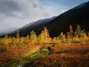 The road to autumn / ***