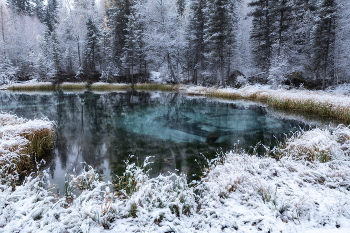 The first snow / ***