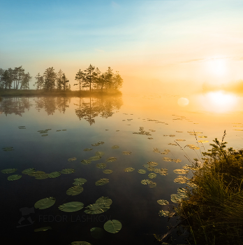 Autumn Sunrise / ***