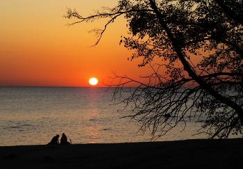 Evening on the lake / ***