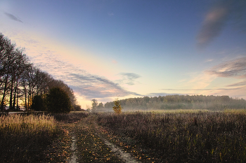 Autumn road / ***