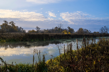 Autumn / ***