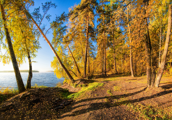 Autumn Beach / ***