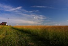 Before mowing ... / ***