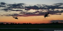 Night flights / ***