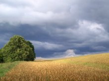 bescheiden / ***