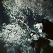 Dream VII / ***