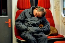 Another Prague dog / *****