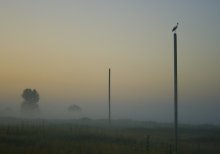Guarding dawn / ---------------