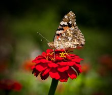 Bright life. / ***