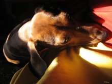 game reflections / *****