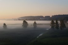 Among the Mist / ***