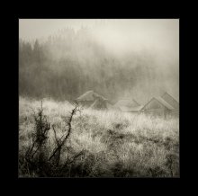 from the series "Lost little world" / ***