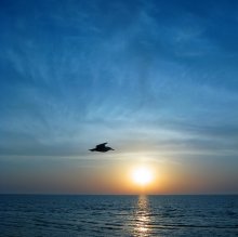 by Dawn 2 / __~V~__*_