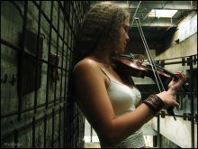 The strings of the Soul / ***