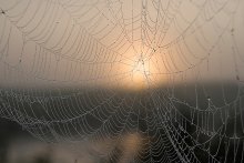 One day at dawn ... / ***