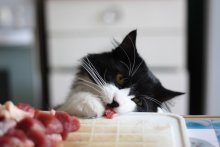 THIEF! / Charlie