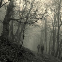For the mist ... / ***