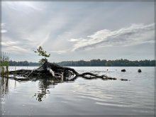i Budza Ranak, i nova Zen .. / .....