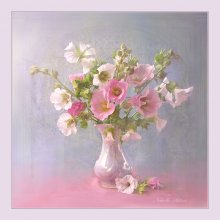 Rose Malve / ***