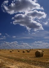Straw / ***