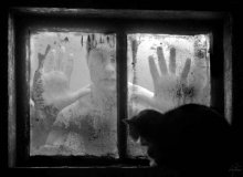 window into my heart / eKG...