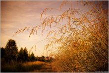 August evening / ___________