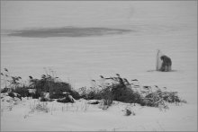 Ice Fishing / *****