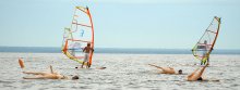 regatta / ***
