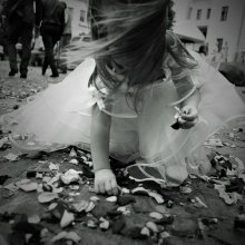 of petals / ***