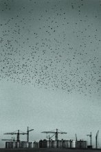 V --- populated suburbs --- V / ***