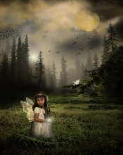 Enchanted Forest / ......