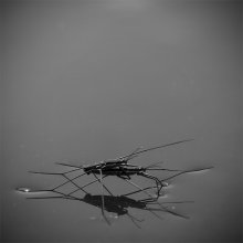 dancing on the water ee e. .. / ***